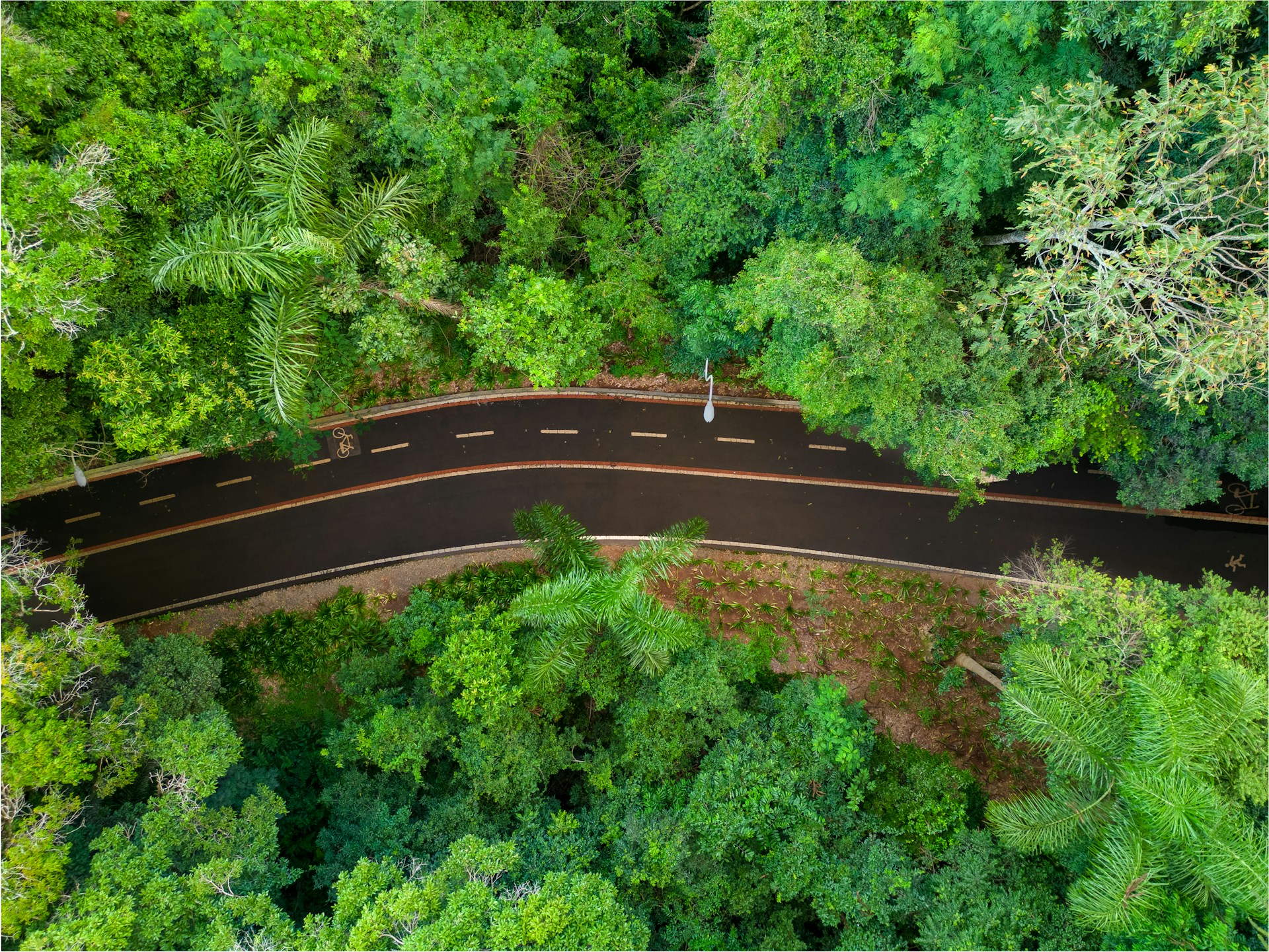 Vegetação e caminhos integrados à paisagem
